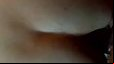 Gulosa tuga